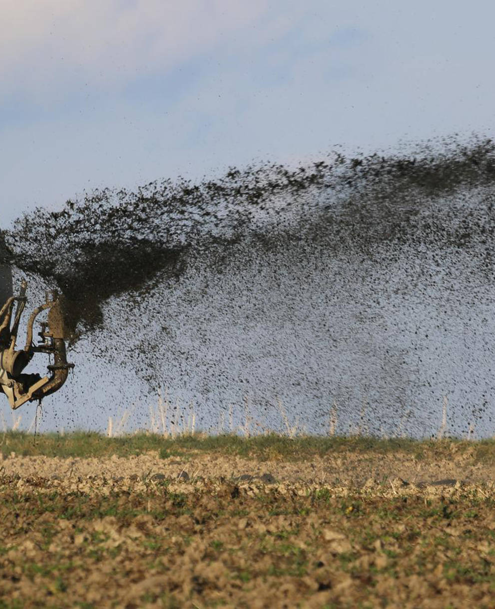 Symbolbild Stickstoffbelastung