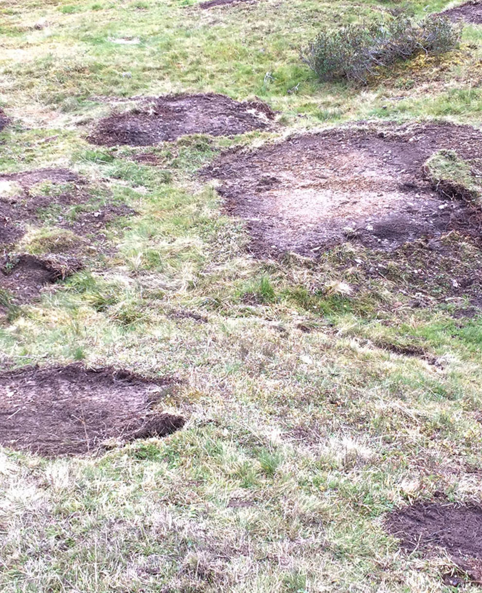 Photo de presse zone d’estivage broyée