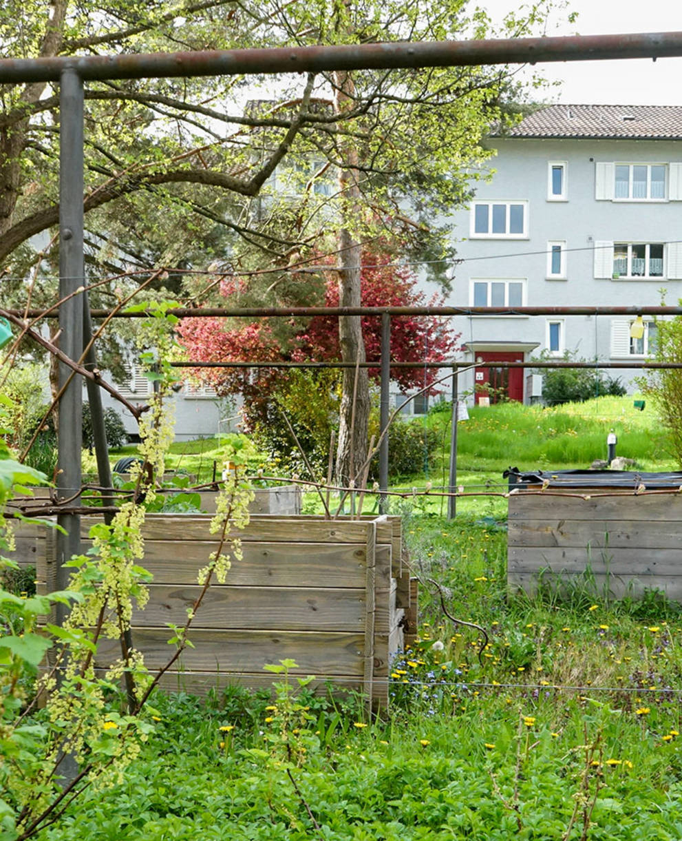 Natur im Siedlungsraum