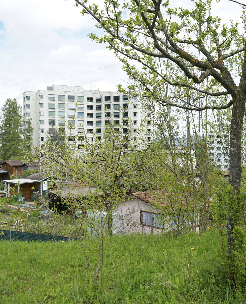Natur im Siedlungsraum