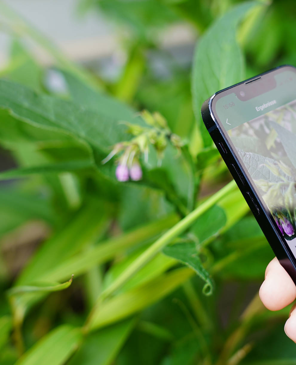 Die Pro Natura-App in der Anwendung