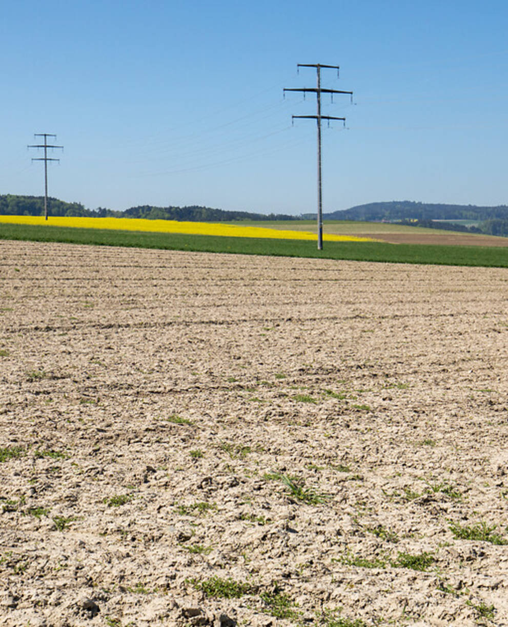 Symbolbild eintönige Kulturlandschaft © Matthias Sorg