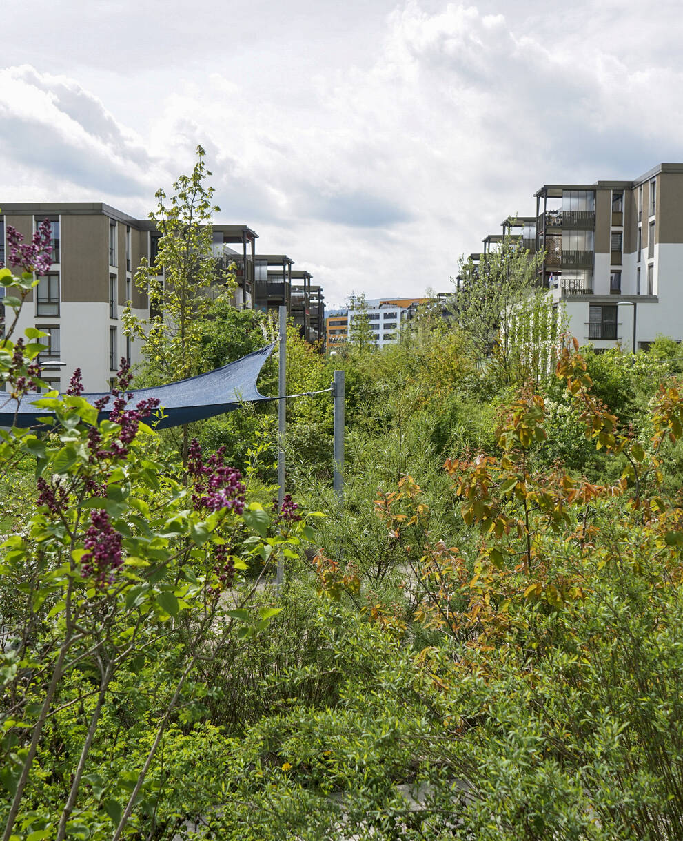 Natur im Siedlungsraum 