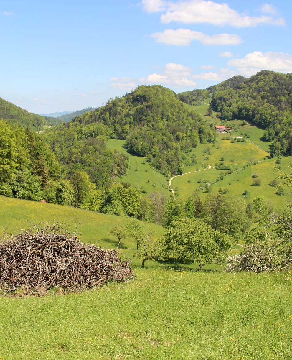 Bergmatte Reigoldswil