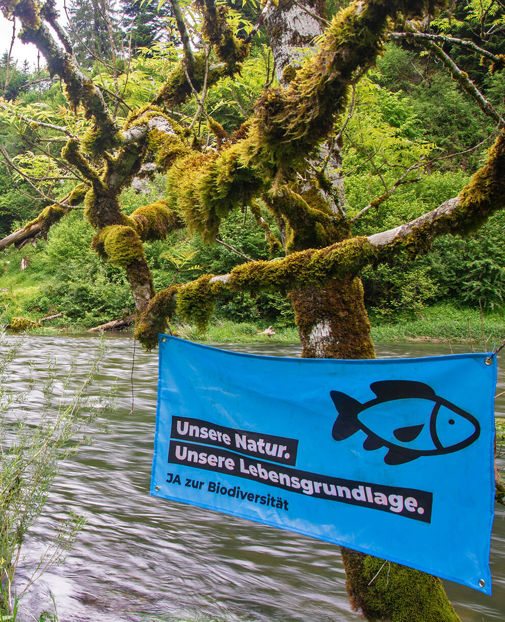 Kampagnenfahne hängt am Doubs in einem Baum.