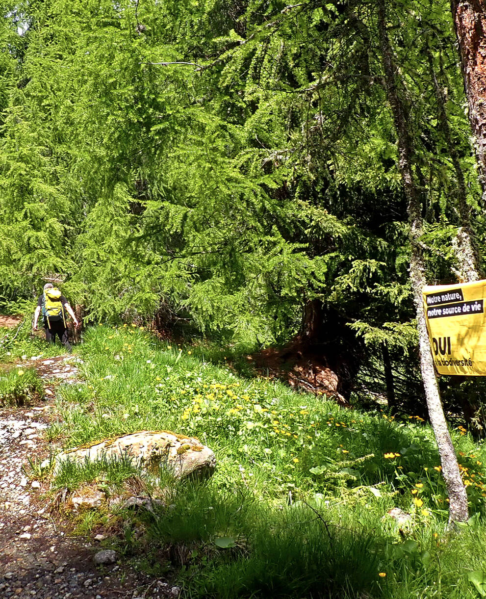 Kampagnenfahne Ja zur Biodiversität am 22. September am Wegrand aufgehängt
