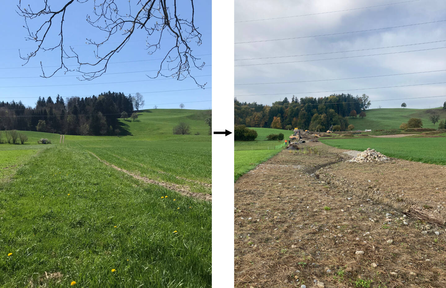 Risibach 2018 und 2022