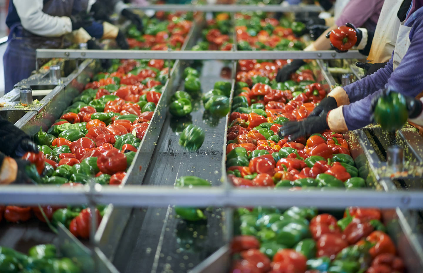 Nahrungsmittelverarbeitung