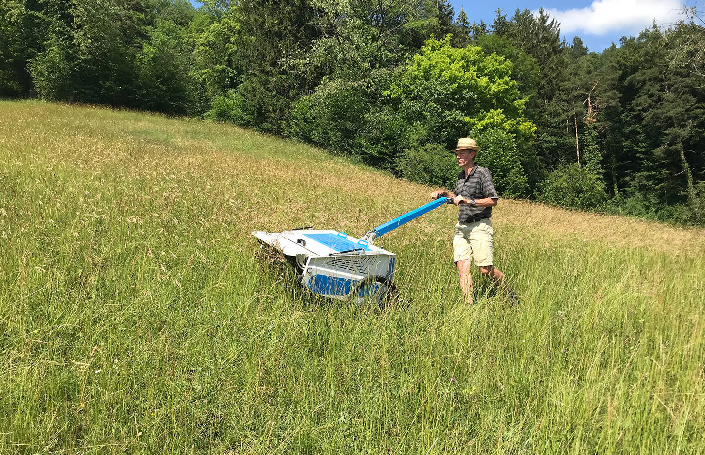 Saatguternte mit dem Seedharvester.