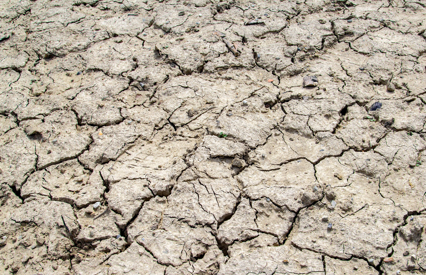 Trockener Boden