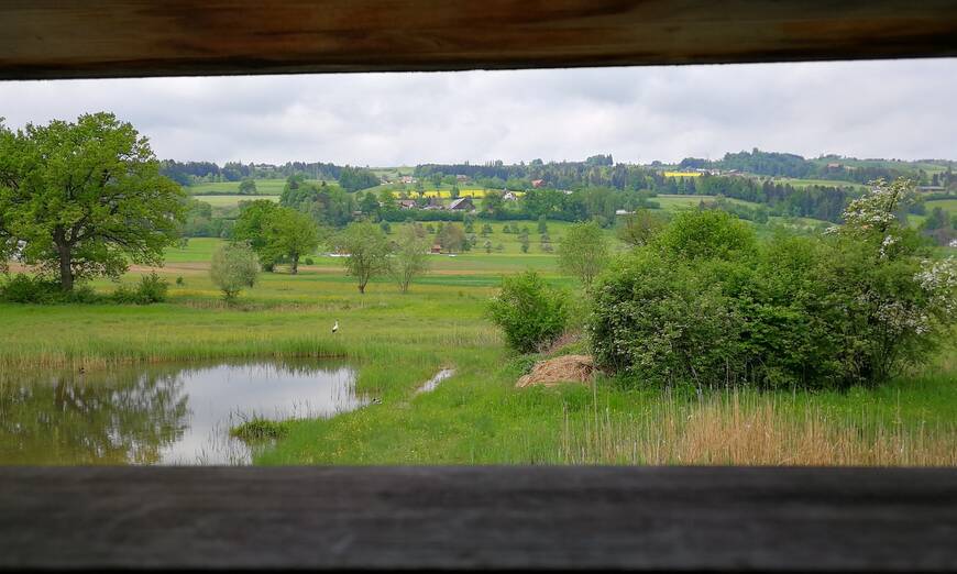 Blick aus dem Hide Ronfeld. Foto: Samuel Ehrenbold