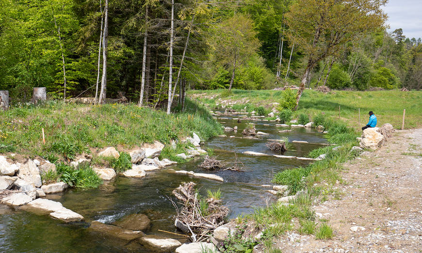 Pro Natura Projekt Biberaue Ferenbalm BE