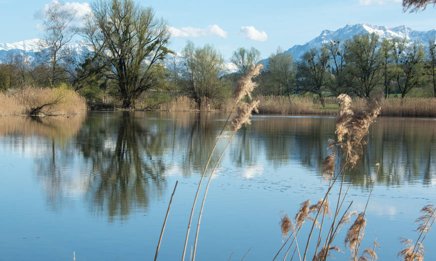 Gletschervorfeld Morteratsch