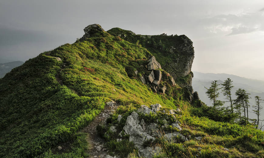 Moorlandschaft Habkern