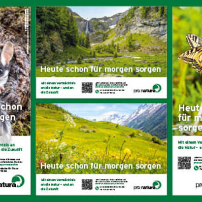 Inserat Nachlass und Legate