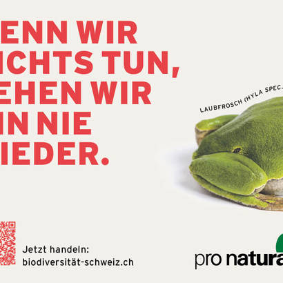 Füllerinserat Biodiversität
