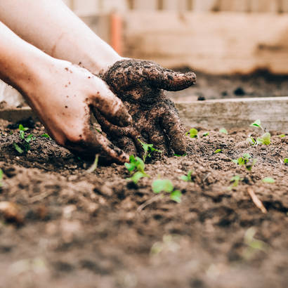 Gartenerde selber mischen
