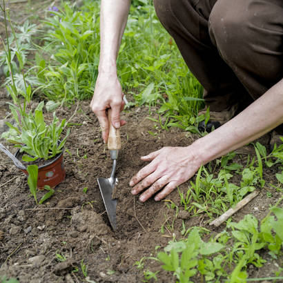 Torffrei im Hobbygarten