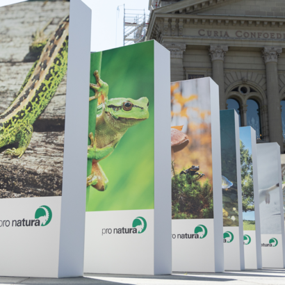 Initiative biodiversité