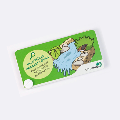 Guide de poche "Invertébrés"