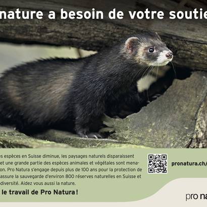 Annonce don général pour Pro Natura