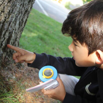 Animation Erstaunliche Insekten