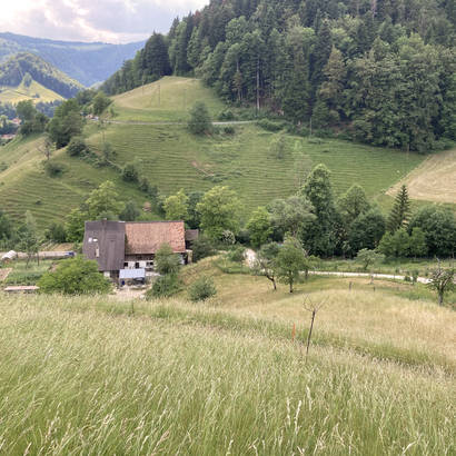 Hof Waldenstein, Beinwil (SO) mit artenreichen Wiesen