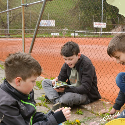 Unterrichtshilfe Wildnis Schoggitaler 2021